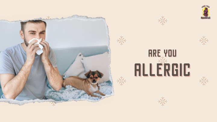 Are you allergic to pets