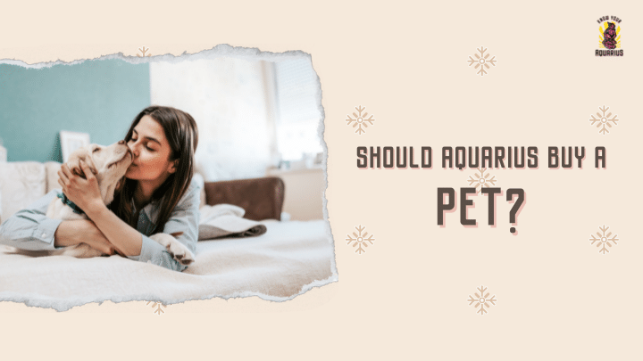 Should Aquarius Buy a Pet?