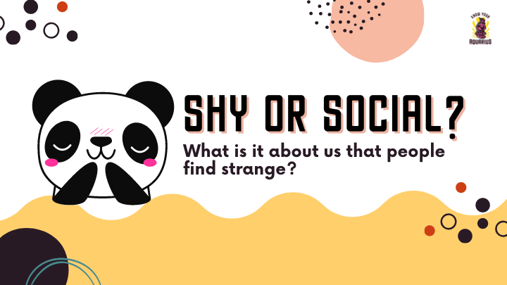 What does socially shy mean?
